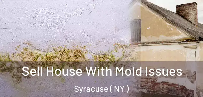  Sell House With Mold Issues Syracuse ( NY )